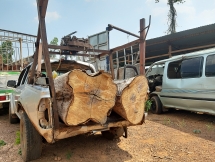 Xe “hết đát” chở gỗ lậu, hung hãn chống đối lực lượng chức năng ở Gia Lai