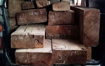 quang nam bat giu xe o to cho 5 m3 go khong ro nguon goc