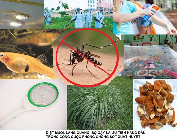 nam thu 5 lien tiep quang nam co so ca mac sot xuat huyet tang