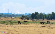 Chủ đầu tư khu đô thị chây ỳ trả nợ 123 tỷ ứng ngân sách bồi thường