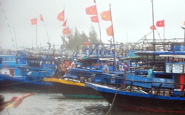 Ngày mai bão đổ bộ, Quảng Nam vẫn còn 118 tàu cá trên biển