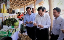 Xây dựng nông thôn mới đang có dấu hiệu chững lại