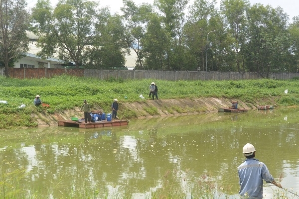 quang nam toi hau thu cho nha may con ethanol dai tan