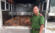 Phát hiện xe tải vận chuyển gỗ trái phép