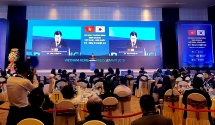 Việt Nam – Hàn Quốc tấm gương điển hình về hợp tác song phương