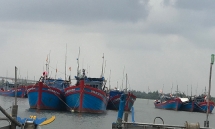 quang nam linh vuc nong nghiep chiem tren 72 tong so du an khoi nghiep