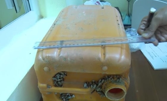 Hàng chục bánh heroin trôi dạt vào bãi biển ở Quảng Nam hang chuc banh heroin troi dat vao bai bien o quang nam