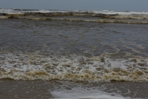 Chưa xác định được nguyên nhân nước biển ở Dung Quất chuyển màu đen bất thường