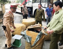 Phát hiện tài xế chở hơn 1.000 kg sụn gà không rõ nguồn gốc ở Huế