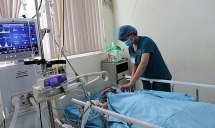 Nhóm người ăn cá nóc đang nguy kịch tại Bệnh viện Quảng Nam