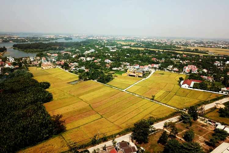 hoi an chay theo so luong du khach trung quoc du lich se di xuong