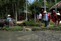 hoi an chay theo so luong du khach trung quoc du lich se di xuong