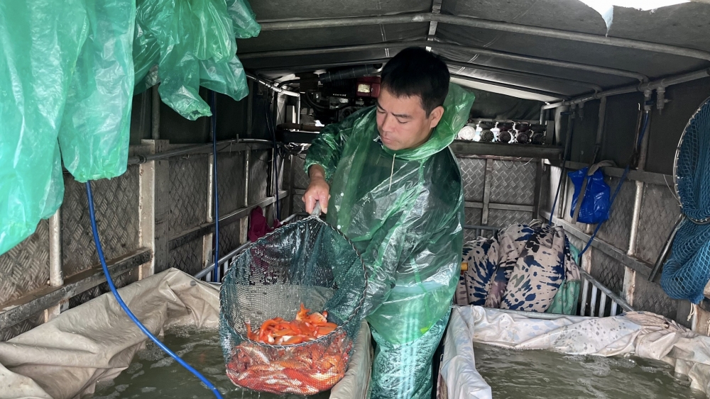 "Mục sở thị" chợ cá lớn nhất Hà Nội trước ngày tiễn ông Công ông Táo về trời