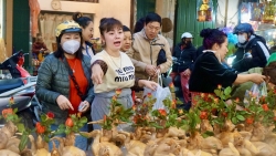 Khu “chợ nhà giàu” ở Thủ đô tấp nập người mua kẻ bán ngày ông Công ông Táo