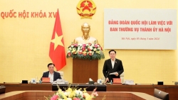 Thể chế hoá kịp thời các chỉ đạo, định hướng quan trọng