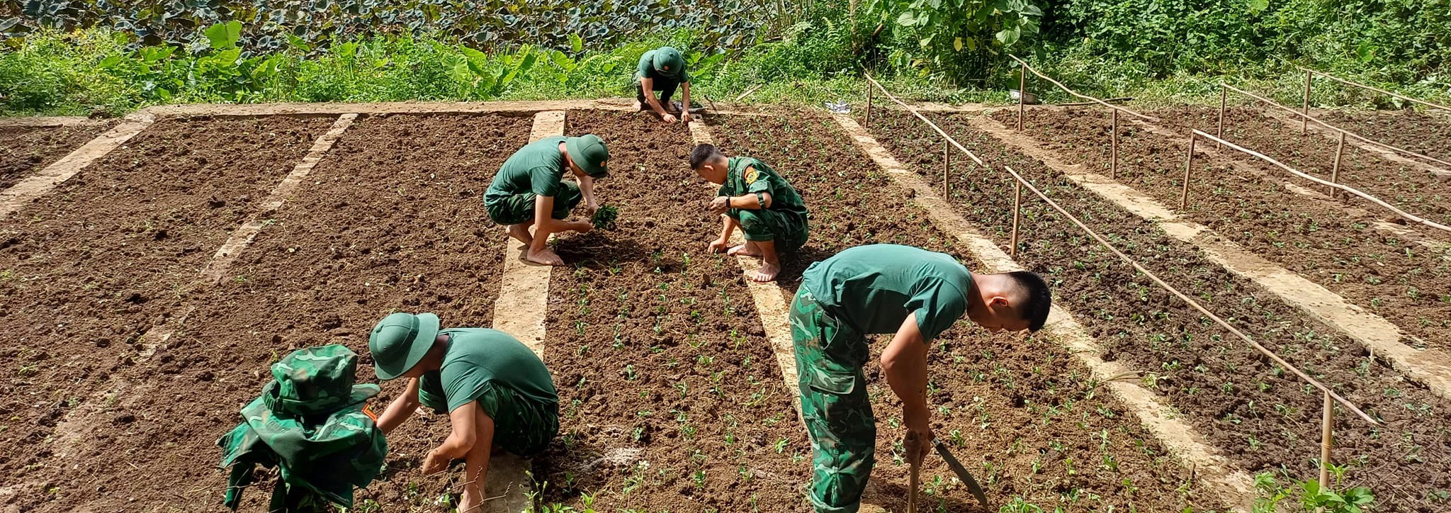 Bài 2: "3 bám, 4 cùng" để đẩy lùi đói nghèo