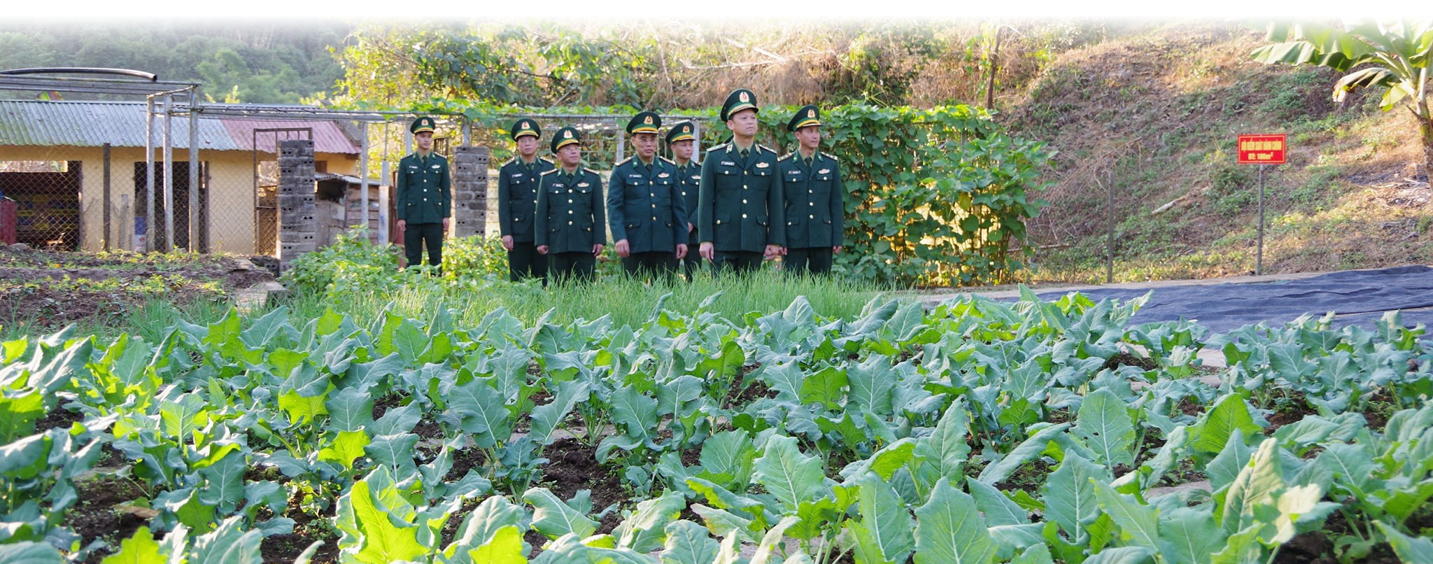 Bài 2: "3 bám, 4 cùng" để đẩy lùi đói nghèo