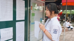 Hà Nội hoãn duyệt điểm chuẩn trúng tuyển bổ sung vào lớp 10 THPT
