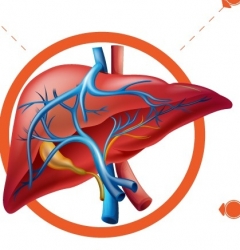 Những thực phẩm dễ khiến gan nhiễm độc