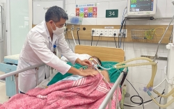 Cả nước xảy ra 80 vụ ngộ độc thực phẩm