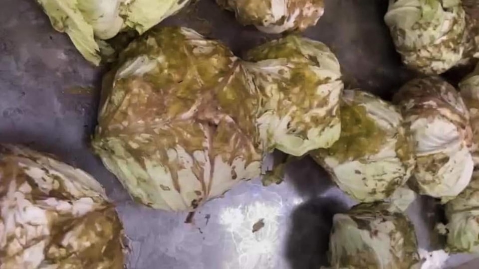 Xác minh, làm rõ bất thường trong bữa ăn bán trú ở vùng cao Lào Cai Xác minh, làm rõ bất thường trong bữa ăn bán trú ở vùng cao Lào Cai