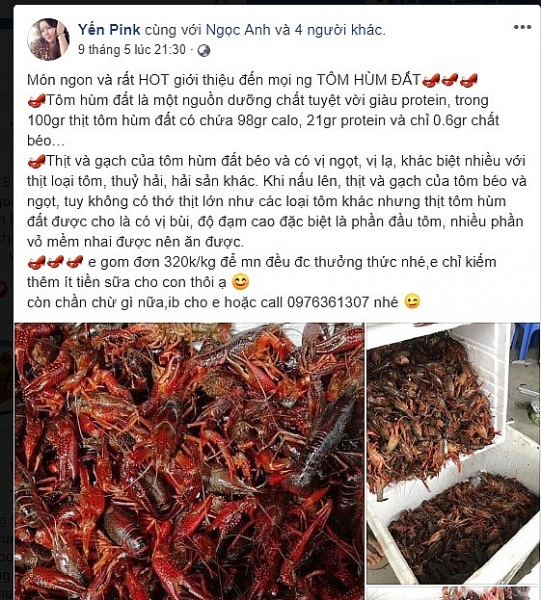 tom hum dat ban tran lan o viet nam tong cuc quan ly thi truong vao cuoc