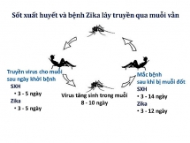 Đã có 26.000 người mắc sốt xuất huyết và 3 người tử vong
