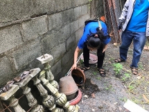 Lý do muỗi vằn truyền bệnh sốt xuất huyết được gọi là "muỗi nhà Vua"