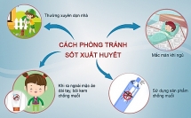 Nóng trong tuần: Dịch sốt xuất huyết đang có diễn biến phức tạp; 3 trẻ mầm non bị bỏng trong buổi học kỹ năng tiên lượng xấu