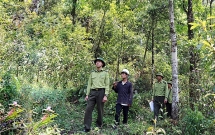 nguy co chay rung o vuon quoc gia hoang lien o muc do cao