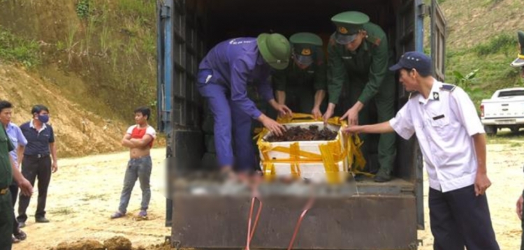Lào Cai: Bắt giữ gần 1,5 tấn chân gà đông lạnh và tôm hùm không rõ nguồn gốc