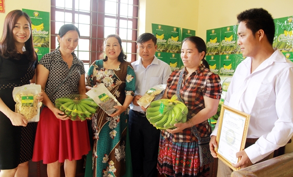 Công bố nhãn hiệu "Chuối Lào Cai"