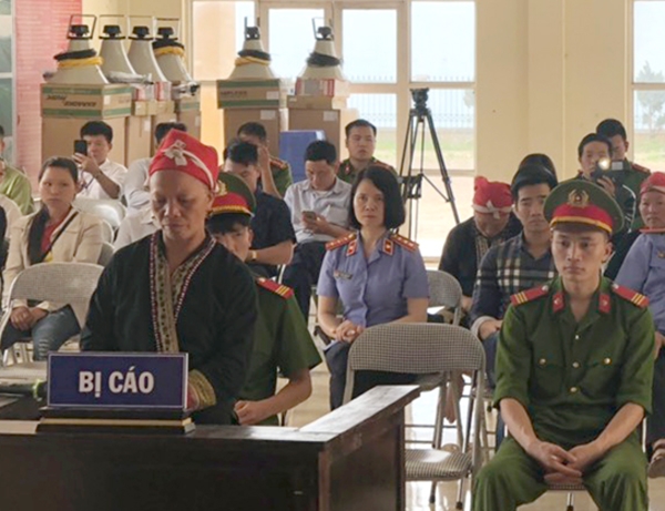 Trồng 1.100 cây thuốc phiện trong vườn nhà "làm thuốc" người phụ nữ dân tộc Mông lĩnh án