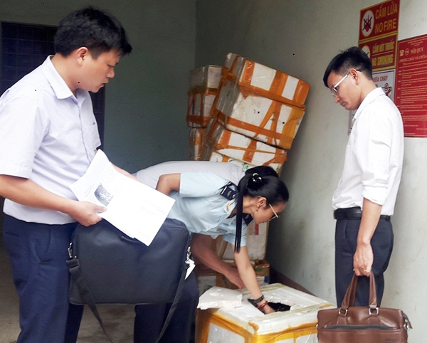 Lào Cai siết chặt kiểm soát, ngăn tôm hùm đất phát tán