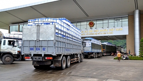 Lào Cai: Xuất khẩu vải tươi sang Trung Quốc - 3 giây xong thủ tục thông quan