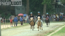 Sôi nổi vòng chung kết giải đua ngựa Bắc Hà mở rộng năm 2019