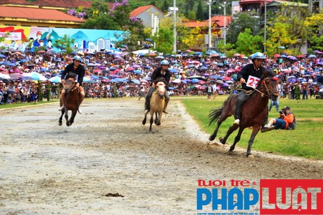 doc dao giai dua vo ngua cao nguyen trang bac ha 2019