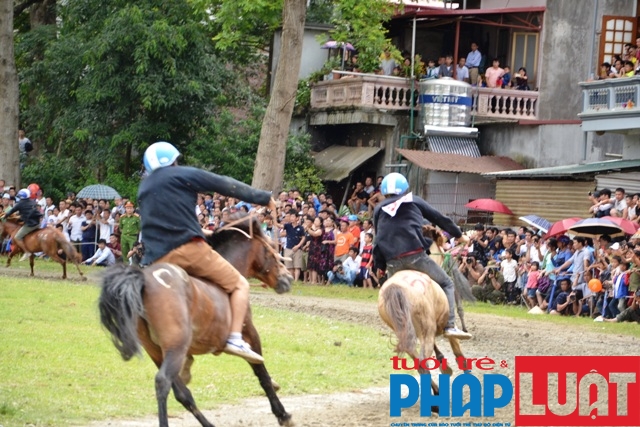 doc dao giai dua vo ngua cao nguyen trang bac ha 2019