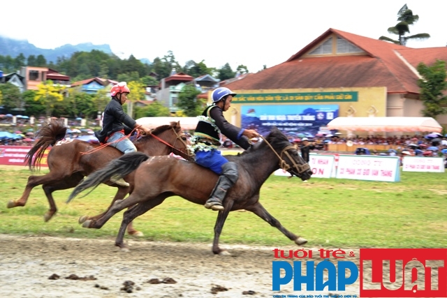 doc dao giai dua vo ngua cao nguyen trang bac ha 2019