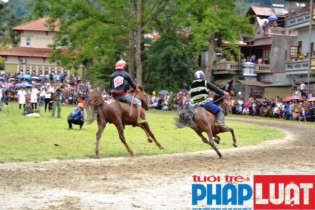 doc dao giai dua vo ngua cao nguyen trang bac ha 2019