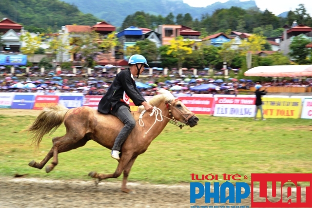 doc dao giai dua vo ngua cao nguyen trang bac ha 2019