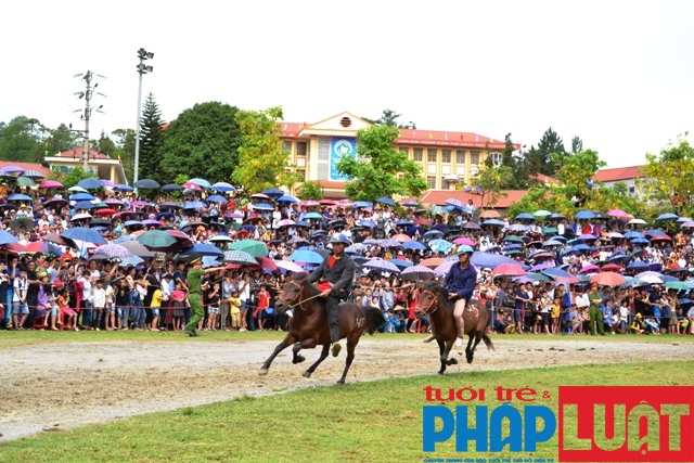 doc dao giai dua vo ngua cao nguyen trang bac ha 2019