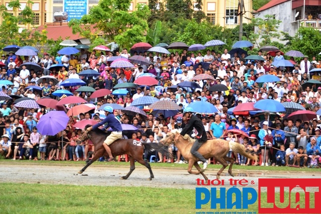 doc dao giai dua vo ngua cao nguyen trang bac ha 2019