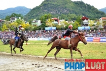 doc dao giai dua vo ngua cao nguyen trang bac ha 2019