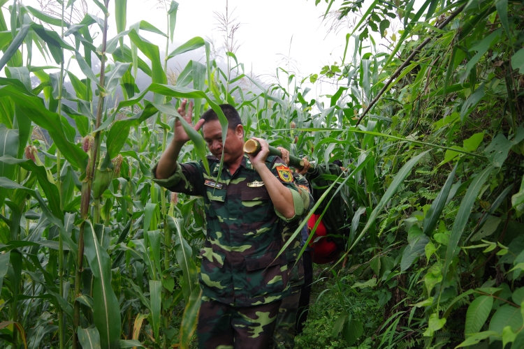 Lào Cai: Tìm thấy thi thể của bà cụ đi lạc trong rừng dưới khe núi