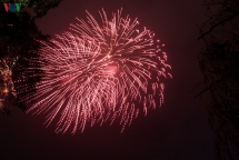 [Chùm ảnh]: Pháo hoa lung linh chào năm mới Canh Tý 2020