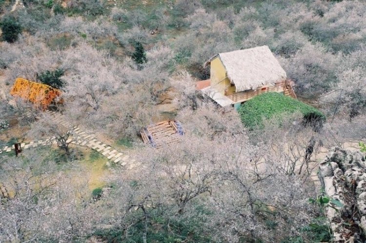 2000 doan vien thanh nien se tham gia le phat dong tet trong cay 2020