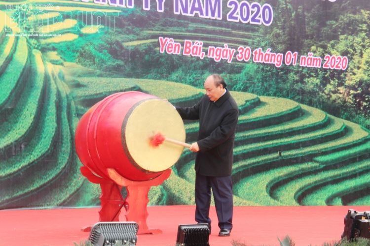 thu tuong phat dong tet trong cay tai yen bai dip dau xuan canh ty 2020