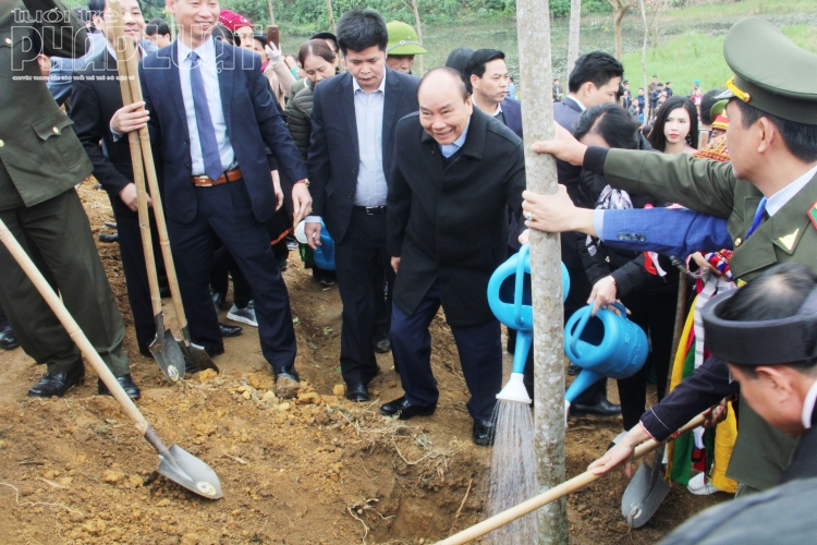 thu tuong phat dong tet trong cay tai yen bai dip dau xuan canh ty 2020