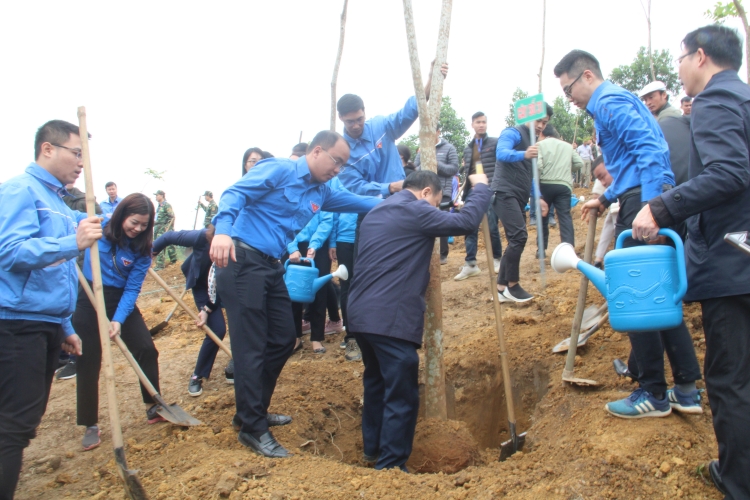 thu tuong phat dong tet trong cay tai yen bai dip dau xuan canh ty 2020